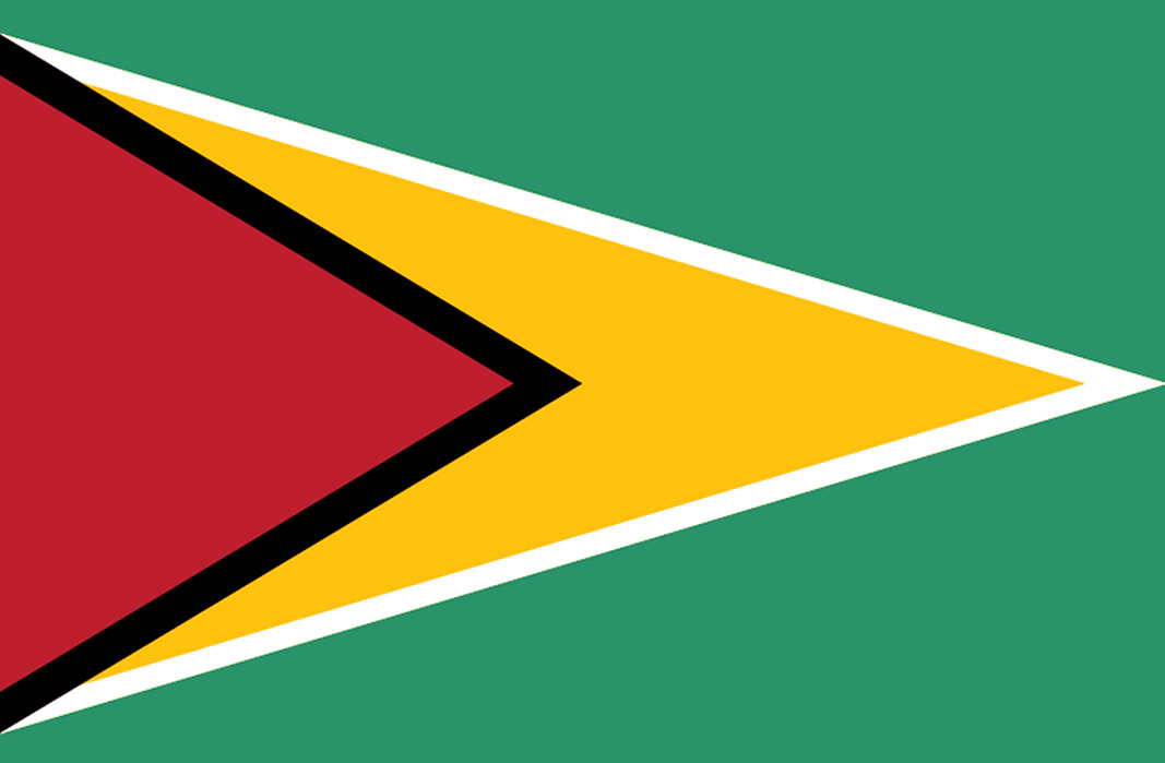 flag guyana